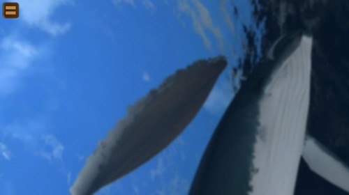 ģ