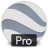 Google Earth Pro(ȸ)