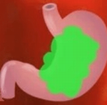 ƨ