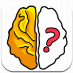 Brain Out