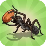 Pocket Ants2022