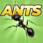 口袋蚂蚁模拟器