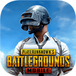pubgʰ