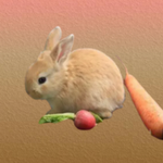 ƴܲ