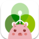 okpay