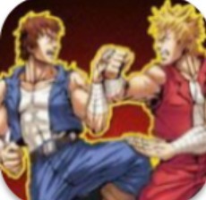 ˫