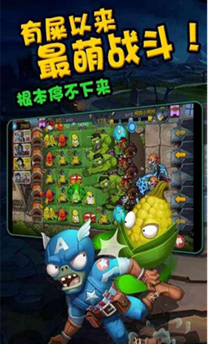 ʬũ