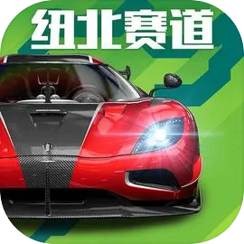 巅峰极速测试服 v0.25.0 无限钻石版