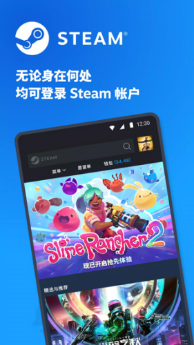 ֻsteamͻ
