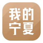 ҵapp