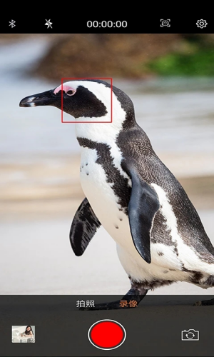 爱随拍官方正版