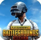 pubgʷص