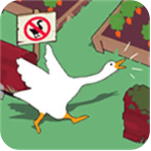 �������޹�����İ�