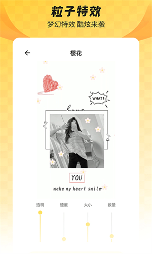 ȫ��͸����ֽ����