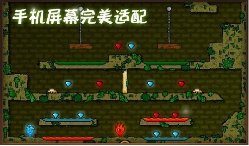 ɭ�ֱ�����˫��������