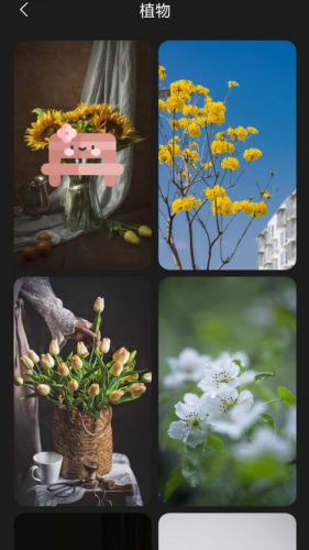 布丁壁纸官方版