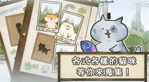 è������app