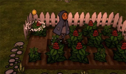 �ֲ����Ϲ�ũ�����İ�