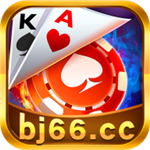 �������°汾