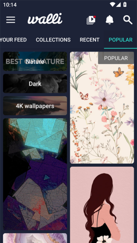 walli��ֽ�ٷ���