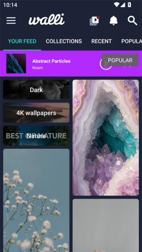 walli��ֽ�ٷ���