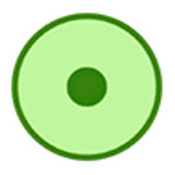 ϸ��ʵ����ȫ������