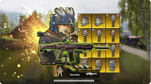 �޹������������