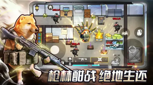 �޹��������ж��޹���