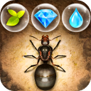 СС�Ϲ��ƽ��