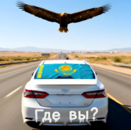 ������˹̹����ģ����������