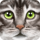 �ռ�èģ�������޾����