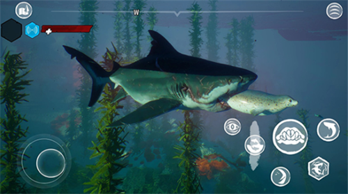 ʳ����MOD���ײ˵����İ�