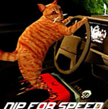 è˾���ƽ��