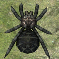 ֩��ģ����������ʯ�ƽ��