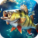 ���ֵ����ʦ���ò˵���