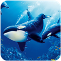 ����ģ�������ò˵���  v1.2.9 �޹���