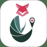 ;���ܳ�app���°�