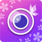 �������app�ٷ���
