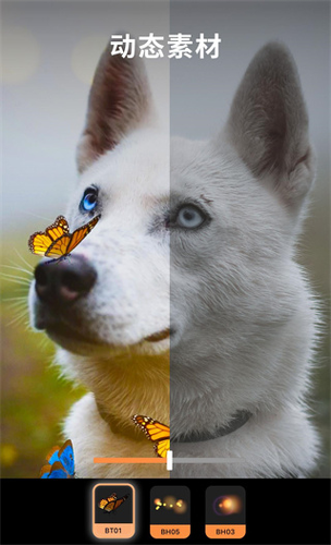 pixaloop�ƽ��