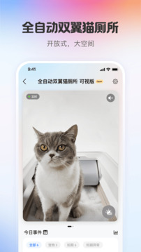 С�����app