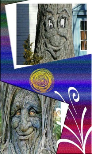 \
