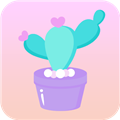 ��������app