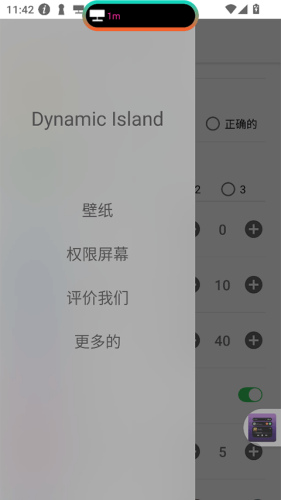 dynamicisland���İ�