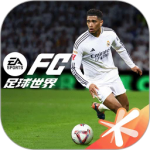 fc����������������°�2026