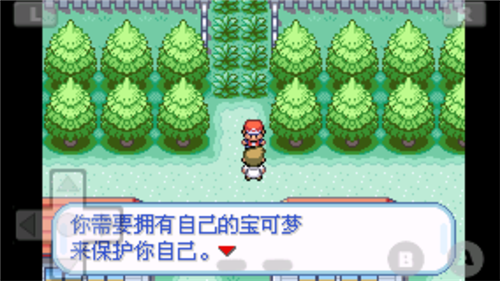 �ڴ����ֻ�����ָ��