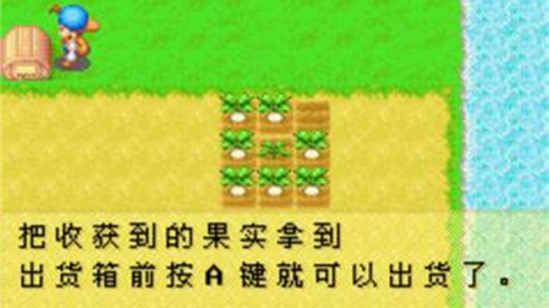 牧场物语矿石镇的伙伴们无限体力版