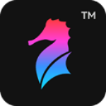 ����֤����app  v3.1.2 ��ɫ��
