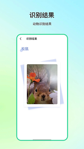 ����ٿ�app