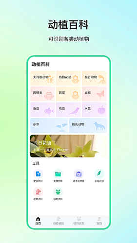 ����ٿ�app
