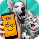 ���﷭����app